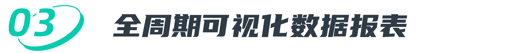 全周期可视化数据报表